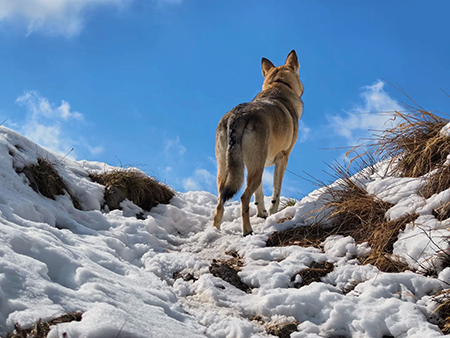 Anello Zuc de Valmana, Canti, Tre Faggi da Fuipiano-17marzo2026-FOTOGALLERY